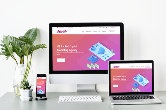 Disolife- White Label Digital Marketing Agency in India